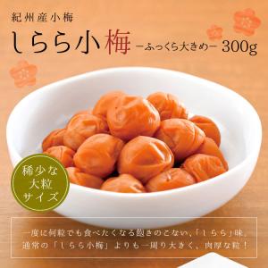 【完売しました】梅干し 小梅 しらら小梅 ふっくら大きめ 300g 中田食品 塩分5％ 減塩 梅干 うめぼし 和歌山県産 数量限定｜nakatafoods