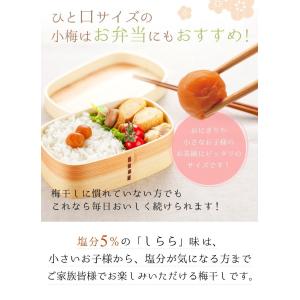 梅干し 数量限定 中田食品 紀州産小梅 しらら...の詳細画像3