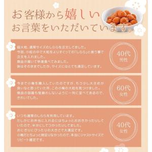 梅干し 数量限定 中田食品 紀州産小梅 しらら...の詳細画像4