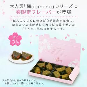 【完売しました】梅干し「300円OFFクーポン...の詳細画像3