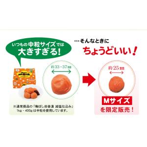 【完売しました】梅干し 数量限定 紀州南高梅 ...の詳細画像2