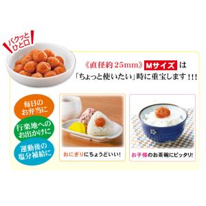 【完売しました】梅干し 数量限定 紀州南高梅 ...の詳細画像3