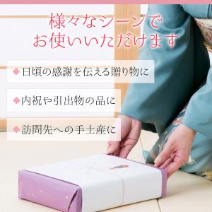 梅干し はちみつ 敬老の日 ギフト 個包装 塩...の詳細画像4