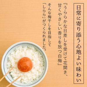 梅干し ギフト お中元 2026 高級 贈答 ...の詳細画像1