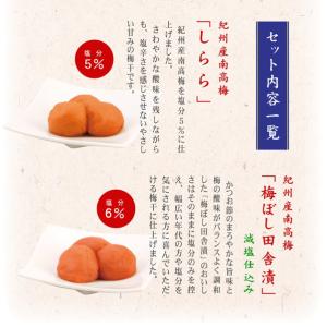 梅干し ギフト お中元 2026 お祝い 内祝...の詳細画像2