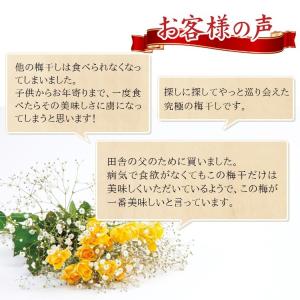 【完売しました】遅れてごめんね 梅酒 梅干し ...の詳細画像3