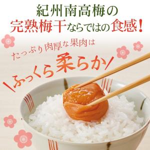【完売しました】遅れてごめんね 梅酒 梅干し ...の詳細画像4