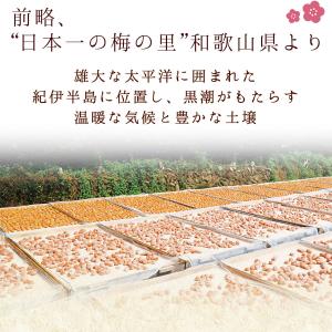 梅干し しそ 紀州しそ漬うめぼし 700g 中...の詳細画像2