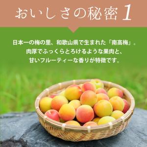 梅干し しそ 紀州しそ漬うめぼし 700g 中...の詳細画像4