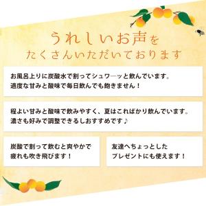 梅シロップ 梅ジュース 完熟梅シロップ ジュー...の詳細画像3