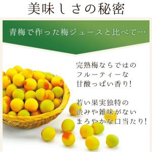 梅シロップ 梅ジュース 完熟梅シロップ ジュー...の詳細画像4