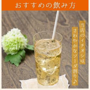 梅シロップ 梅ジュース 完熟梅シロップ ジュー...の詳細画像5