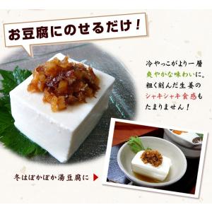 おかか生姜 200g 中田食品 紀州産 梅干し...の詳細画像2