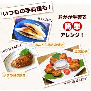 おかか生姜 200g 中田食品 紀州産 梅干し...の詳細画像5