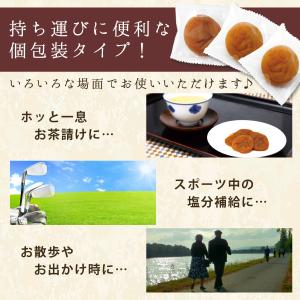 干し梅 個包装 国産 種ぬきほし梅 120g ...の詳細画像2
