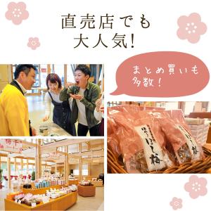 干し梅 個包装 国産 種ぬきほし梅 120g ...の詳細画像3