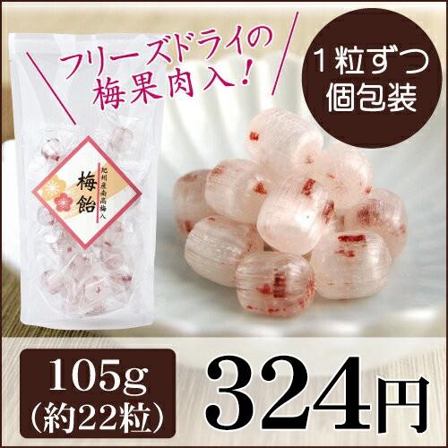 梅飴 105g 中田食品 紀州産 南高梅 携帯 梅