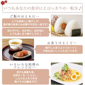 梅干し 数量限定 紀州南高梅 しらら 450g...の詳細画像4