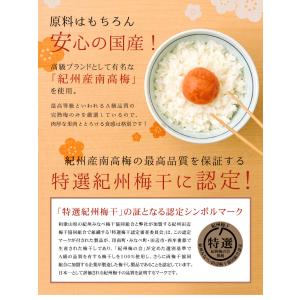 梅干し 紀州南高梅 はちみつ完熟梅 400g ...の詳細画像3