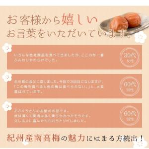 梅干し 紀州南高梅 はちみつ完熟梅 400g ...の詳細画像4
