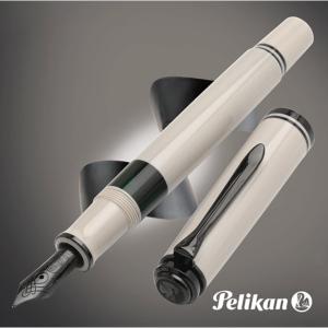 Pelikan（ペリカン） 万年筆 スーベレーン M670 ウォームグレー 14金