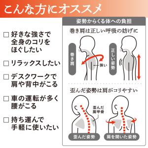 中山式快癒器 2球式 公式 指圧 ほぐし 首 ...の詳細画像2