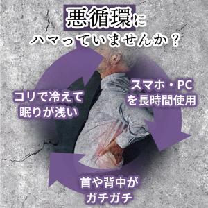 中山式 快癒器 magico μ マジコミュー...の詳細画像4