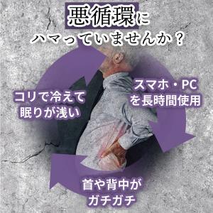 中山式 快癒器 公式 magico μ マジコ...の詳細画像4