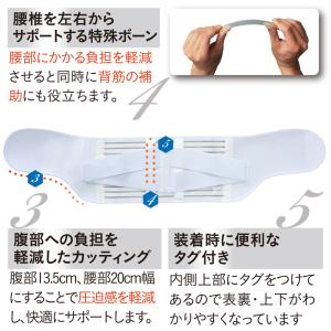 中山式 腰椎医学コルセット 標準タイプ 20c...の詳細画像3