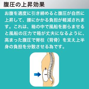 中山式 腰椎医学コルセット 標準タイプ 20c...の詳細画像4