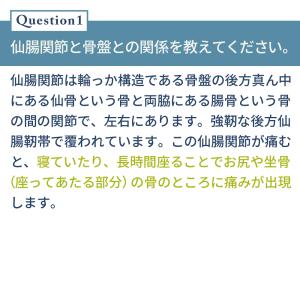 W整形外科医共同開発 中山式 仙腸関節骨盤ベル...の詳細画像5
