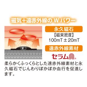 管理医療機器 ツラナイトバンド 1足組 足裏 ...の詳細画像1