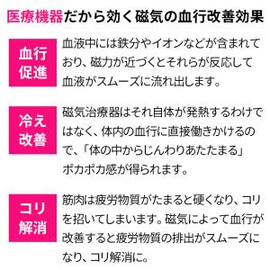 健康サンダル シリコンマグ プラス 磁気治療器...の詳細画像3