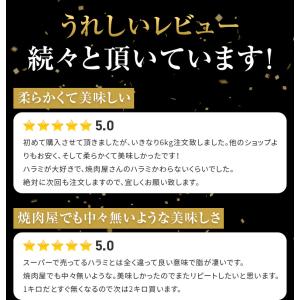 牛ハラミ 900g 300g×3 オーストラリ...の詳細画像1