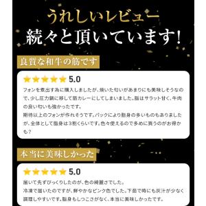 九州産 黒毛和牛 スジ 1kg (250g×4...の詳細画像1
