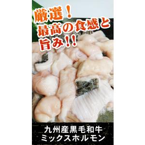 特上九州産黒毛和牛ミックスホルモン 500g 肉 お肉 ホルモン マルチョウ 丸腸 赤千枚の頭 ビチ元 ハチノスの頭｜nakayamaya