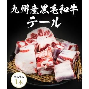 九州産黒毛和牛テール まるまる1本売り カット...の詳細画像1
