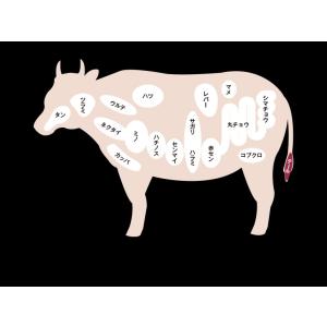 九州産黒毛和牛テール まるまる1本売り カット...の詳細画像3