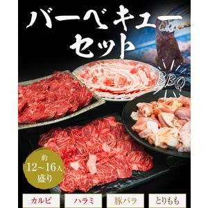 バーベキューセット 12-16人盛 BBQ 焼...の詳細画像1
