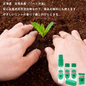 ハッカ油スプレー ハローキティ ハッカスプレー...の詳細画像5