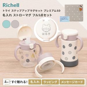 リッチェル トライ 保冷ストローマグSD ライトグレー 300ml リッチェル トライ 保冷ストローマグSD ライトグレー 300ml