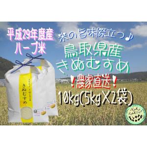 【低温熟成】平成29年度産　鳥取県産　ハーブ米　きぬむすめ　精米10kg