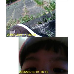 THE PARK SHOP ザ・パークショップ...の詳細画像5