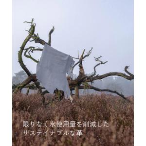 fold compact wallet ドロイ...の詳細画像2
