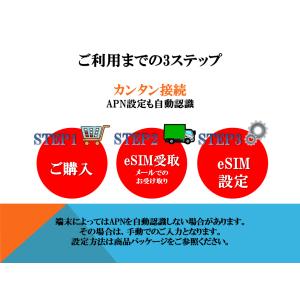韓国 eSIM プリペイドSIM SIMカード...の詳細画像2