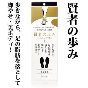 賢者の歩み  インソール  公式