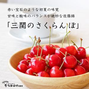 秋田県湯沢市三関産　佐藤錦さくらんぼ　約500g