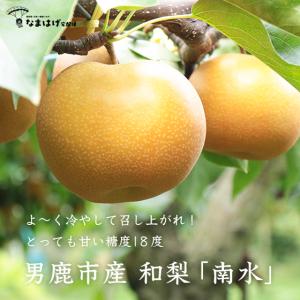 男鹿梨　五里合産「南水」12個入り／約5kg　