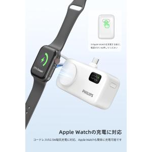 Philips(フィリップス) モバイルバッテ...の詳細画像3