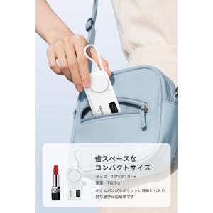 Philips(フィリップス) モバイルバッテ...の詳細画像5